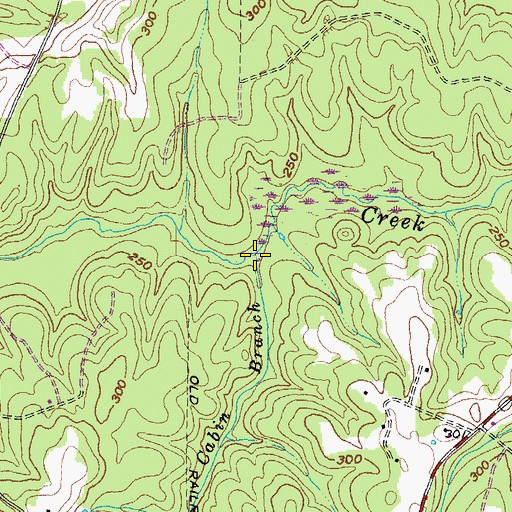 Topographic Map of Cabin Branch, VA