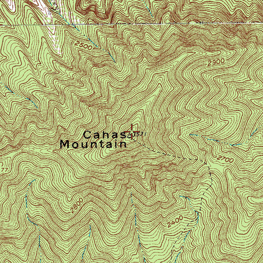 Topographic Map of Cahas Mountain, VA