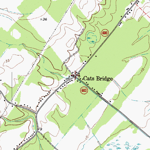 Topographic Map of Cats Bridge, VA