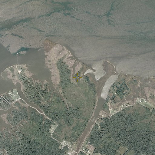 Aerial/Satellite Image of Cedar Neck, VA