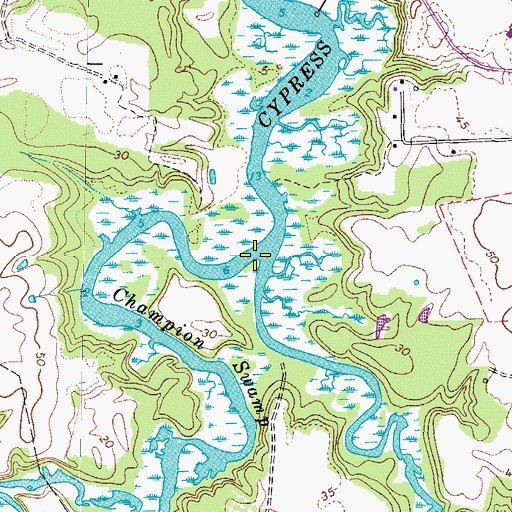 Topographic Map of Champion Swamp, VA