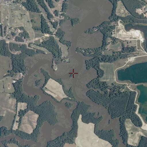 Aerial/Satellite Image of Champion Swamp, VA
