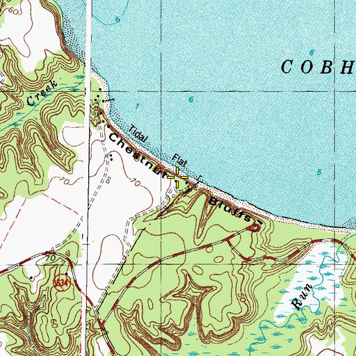 Topographic Map of Chestnut Bluffs, VA