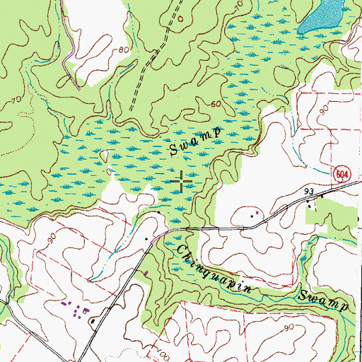 Topographic Map of Chinquapin Swamp, VA