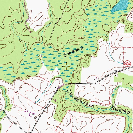 Topographic Map of Chinquapin Swamp, VA