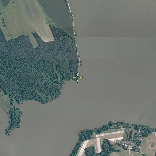 Aerial/Satellite Image of Chippokes Point, VA