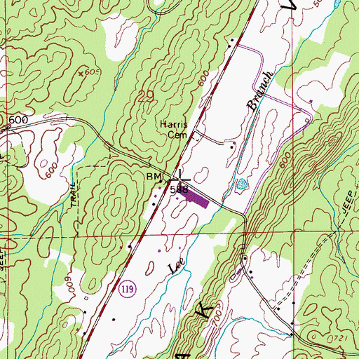 Topographic Map of Lee Store (historical), AL