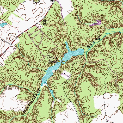 Topographic Map of Davis Pond, VA