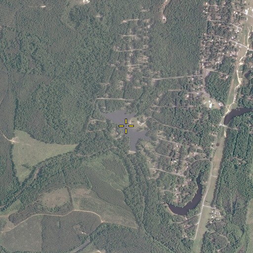 Aerial/Satellite Image of Lake De Jarnette, VA
