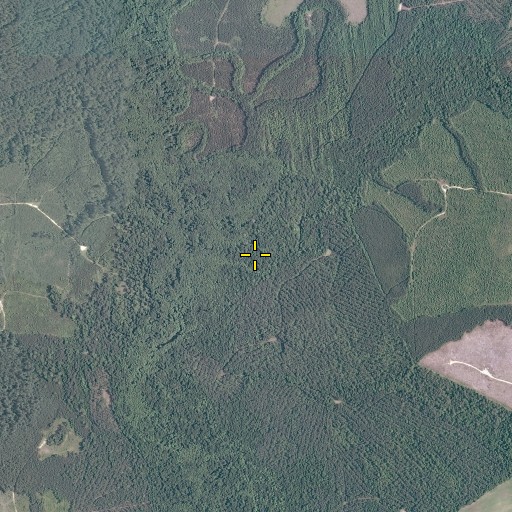 Aerial/Satellite Image of Deep Branch, VA