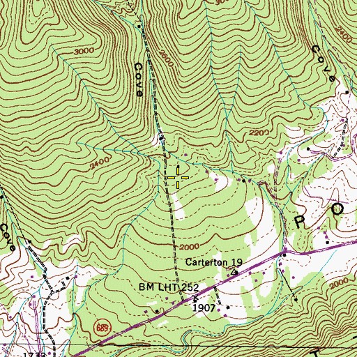 Topographic Map of Detroit Cove, VA