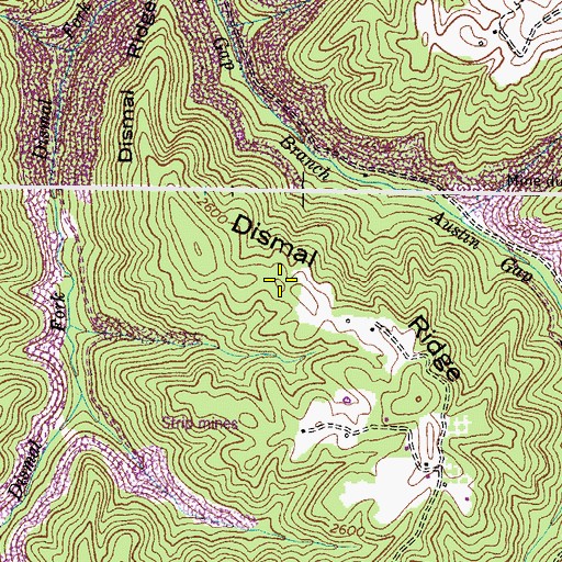 Topographic Map of Dismal Ridge, VA