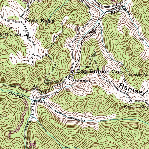Topographic Map of Dog Branch Gap, VA