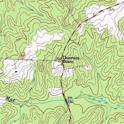 Topographic Map of Duerson Store, VA