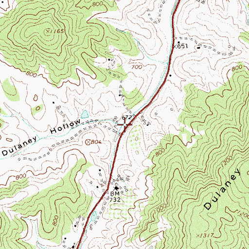Topographic Map of Dulaney Hollow, VA