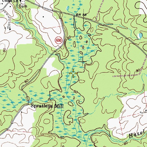 Topographic Map of Elwood Swamp, VA