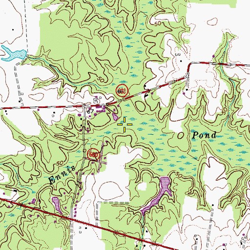 Topographic Map of Ennis Pond, VA