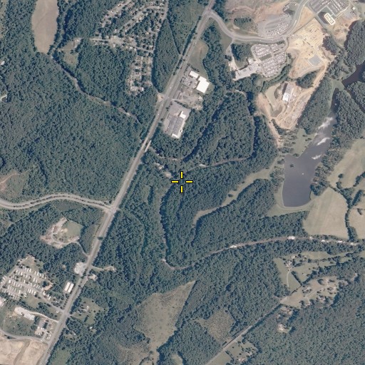 Aerial/Satellite Image of Flat Branch, VA