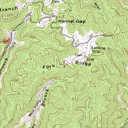 Topographic Map of Fork Ridge, VA