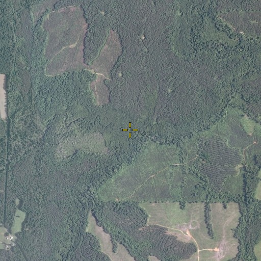 Aerial/Satellite Image of Georges Branch, VA