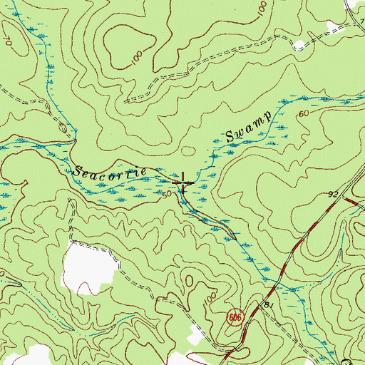 Topographic Map of German Swamp, VA