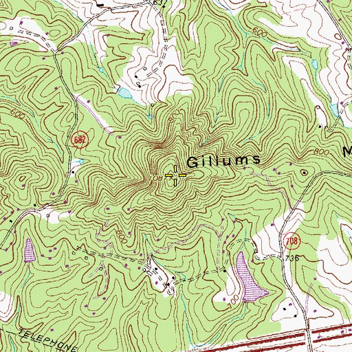 Topographic Map of Gillums Mountain, VA