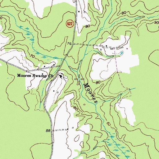 Topographic Map of Green Swamp, VA