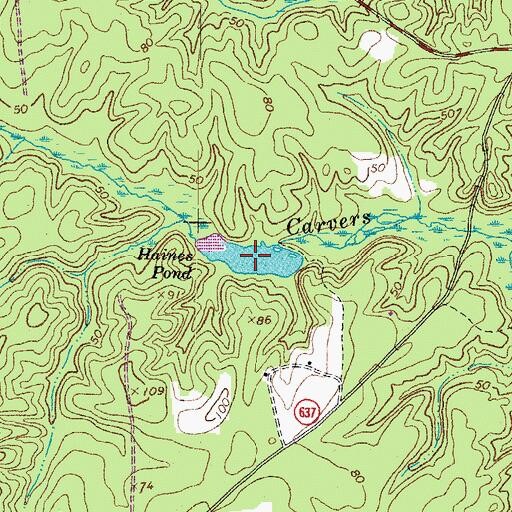 Topographic Map of Haines Pond, VA