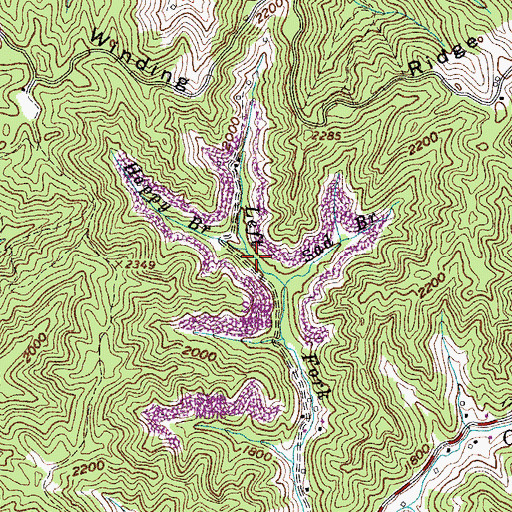 Topographic Map of Happy Branch, VA
