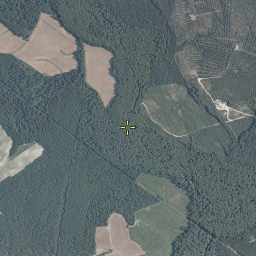 Aerial/Satellite Image of Hickaneck Swamp, VA