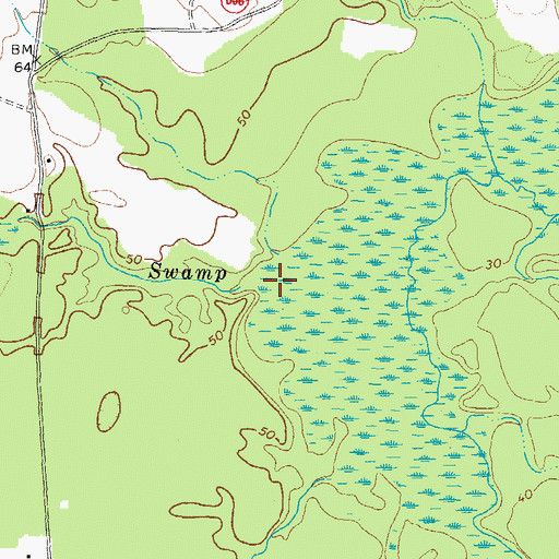 Topographic Map of Hornet Swamp, VA