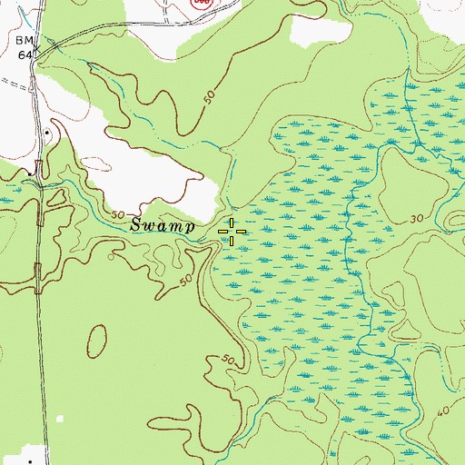 Topographic Map of Hornet Swamp, VA