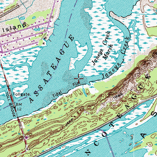 Topographic Map of Janeys Creek, VA