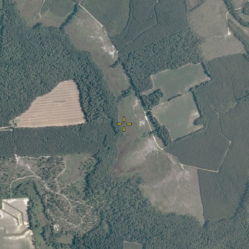 Aerial/Satellite Image of Lightwood Swamp, VA
