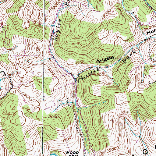 Topographic Map of Little Duck Branch, VA
