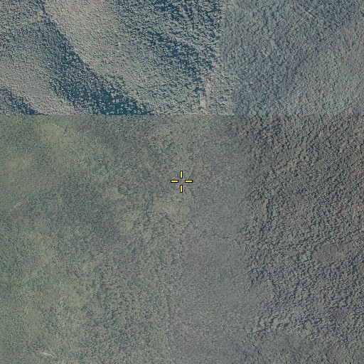 Aerial/Satellite Image of Little Gate Branch, VA