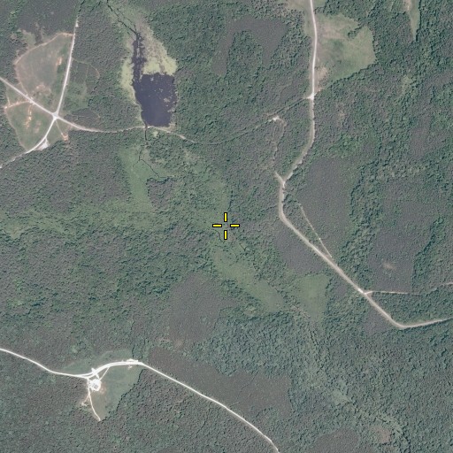 Aerial/Satellite Image of Long Branch, VA