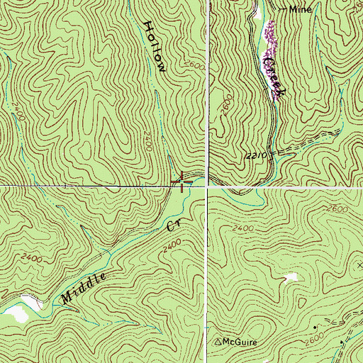 Topographic Map of Long Hollow, VA