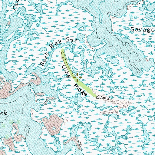 Topographic Map of Long Ridge, VA