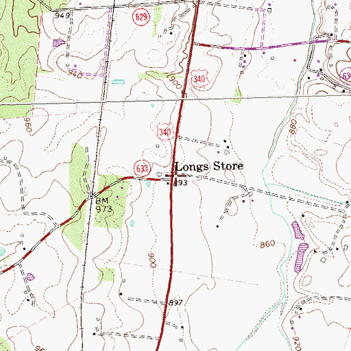 Topographic Map of Longs Store, VA