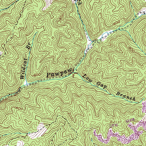 Topographic Map of Low Gap Branch, VA