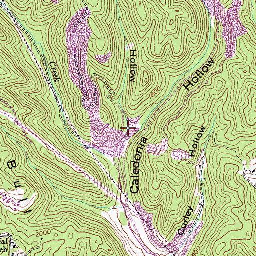 Topographic Map of Maize Hollow, VA