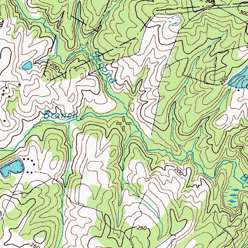 Topographic Map of Mann Branch, VA