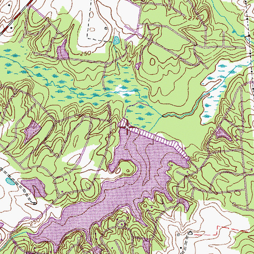 Topographic Map of Maple Swamp, VA