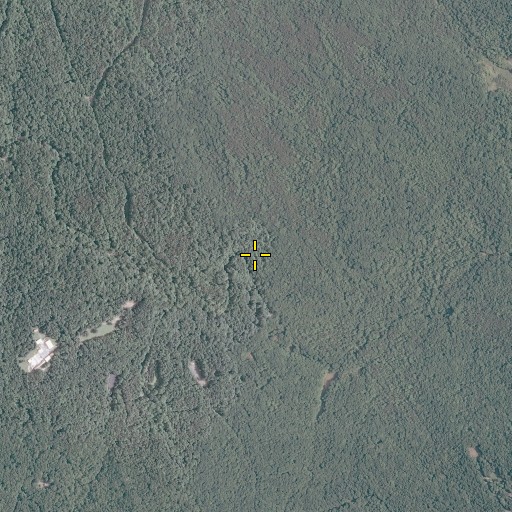 Aerial/Satellite Image of Mary Bird Branch, VA
