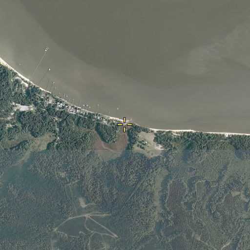 Aerial/Satellite Image of Masons Mill Swamp, VA