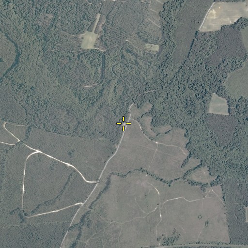 Aerial/Satellite Image of Mill Neck Church, VA