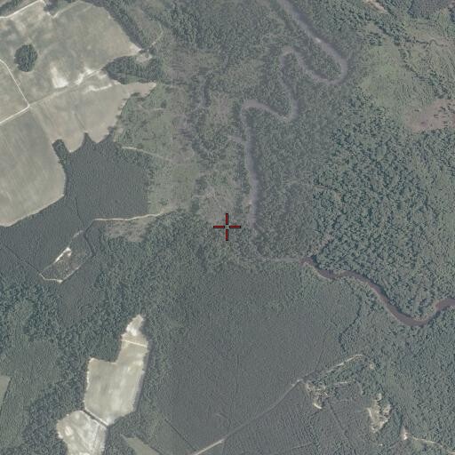 Aerial/Satellite Image of Mill Swamp, VA
