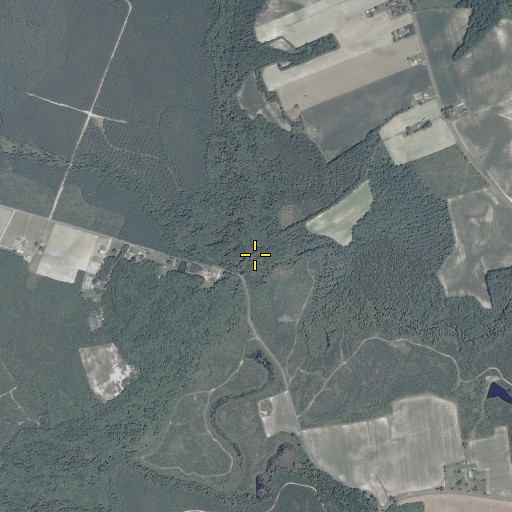 Aerial/Satellite Image of Mill Swamp, VA