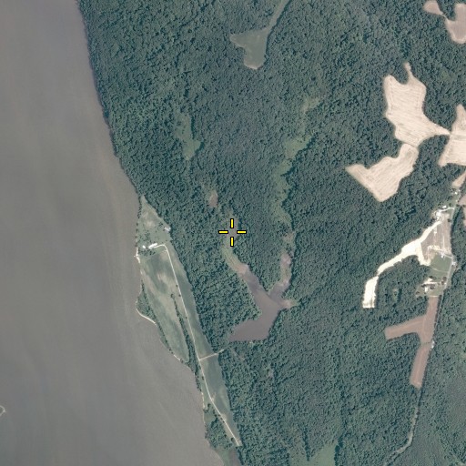 Aerial/Satellite Image of Mud Hole Swamp, VA